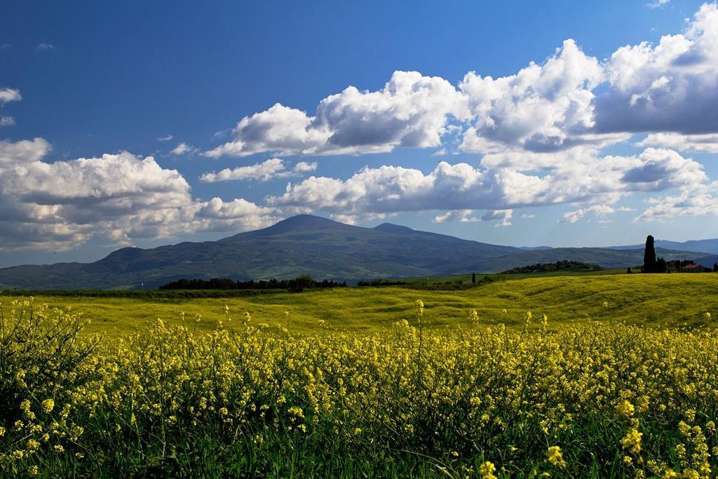 Casetta Del Pozzo Seggiano Cameră foto